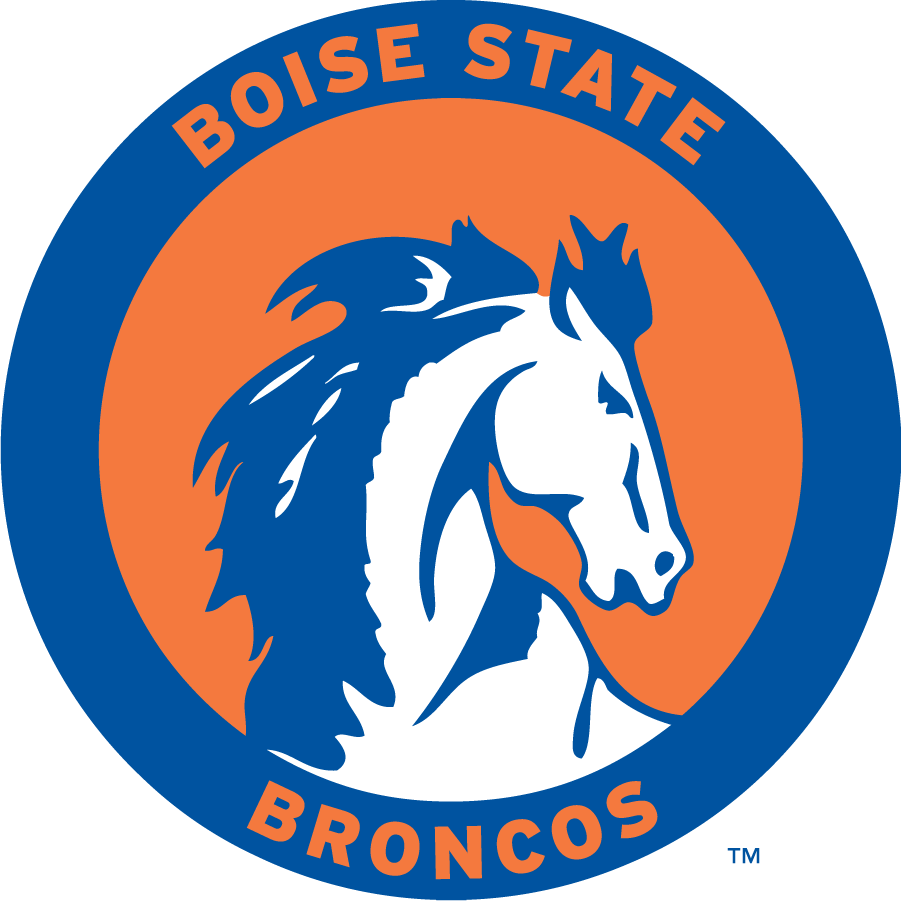 Boise State Broncos 1969-1974 Primary Logo t shirts iron on transfers